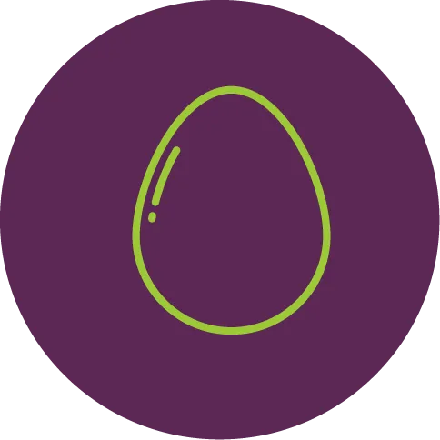 Tejtermék és Tojás